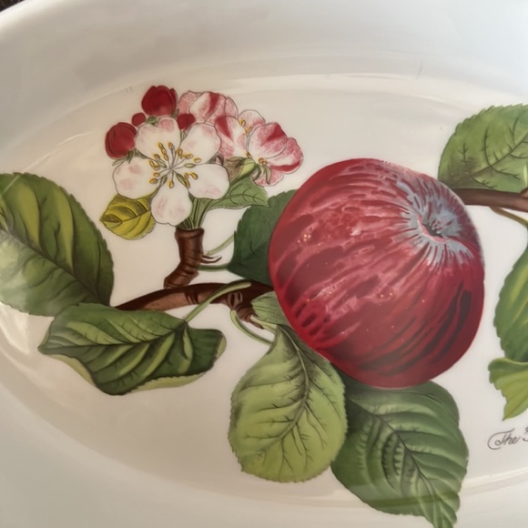 Pomona Portmeirion Oval Dish Designed by Susan Williams “Hoary Morning Apple” - Picture 4 of 7